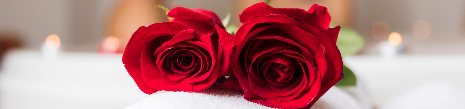 close-up-red-roses-with-defocused-couple